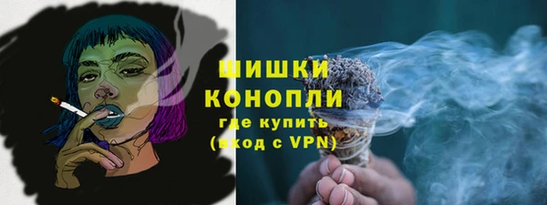 прущие грибы Алзамай