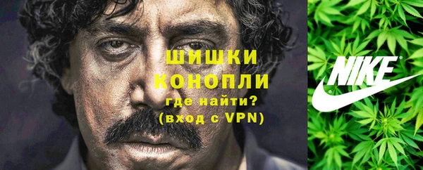 молекула духа Алексин
