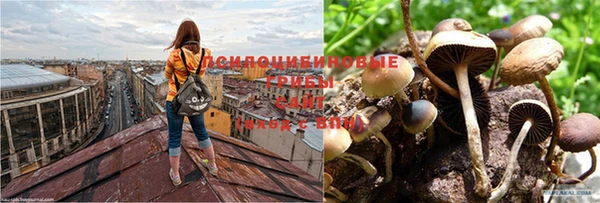 мяу мяу мука Абинск