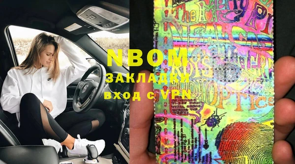 прущие грибы Алзамай
