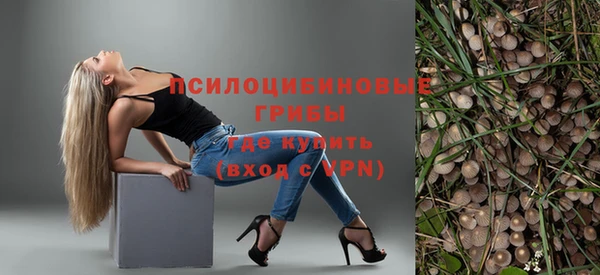 молекула духа Алексин