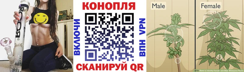 Каннабис OG Kush где продают наркотики Александровск